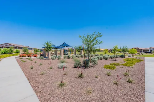 Sweetwater Farms in Surprise, Arizona