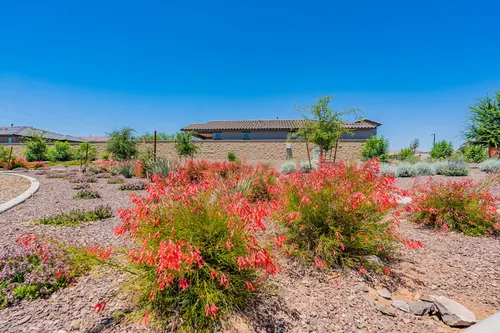 Sweetwater Farms in Surprise, Arizona