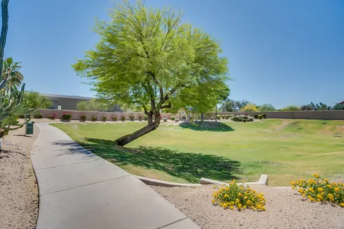 Festiva in Tempe, Arizona