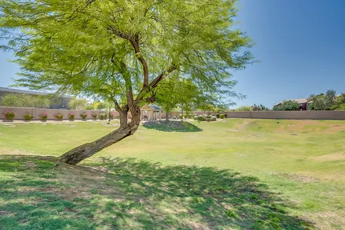 Festiva in Tempe, Arizona