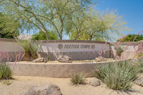Festiva in Tempe, Arizona