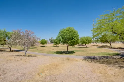 Festiva in Tempe, Arizona