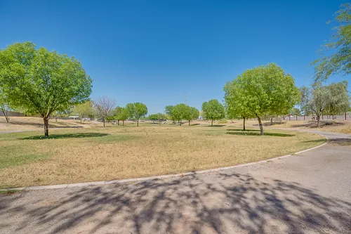 Festiva in Tempe, Arizona