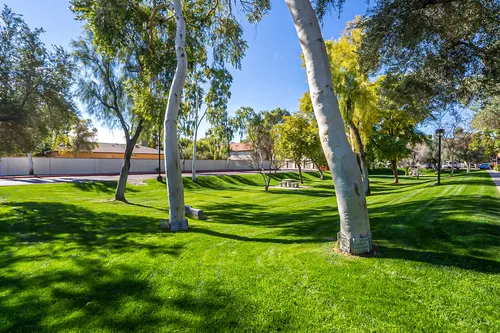 Hudson Trace in Tempe, Arizona