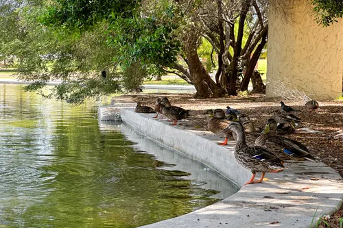 Kiwanis Park in Tempe, Arizona