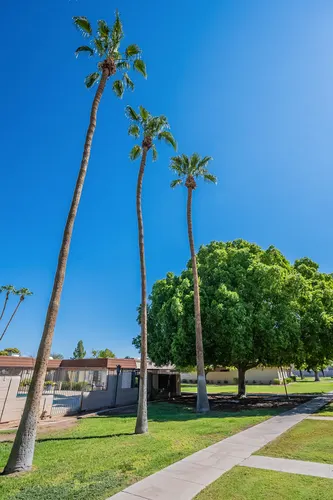 Park Riviera IV in Tempe, Arizona