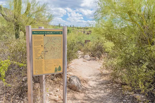 Cobo Catalina Hills in Tucson, Arizona