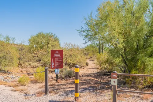 Dakota Vista in Tucson, Arizona