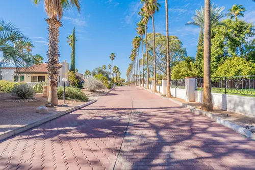 Palma de Coco in Tucson, Arizona