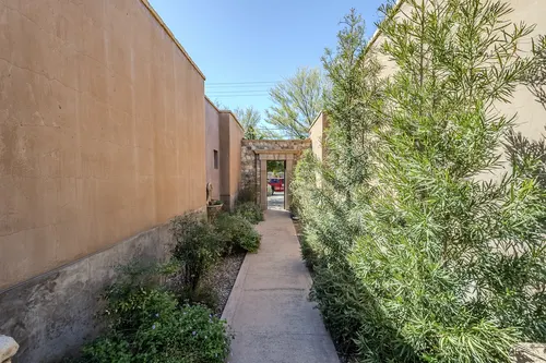 Rillito Bend in Tucson, Arizona