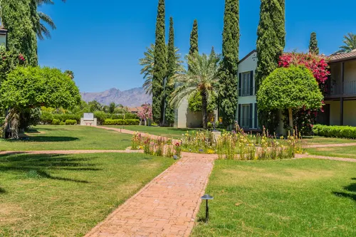 Sam Hughes in Tucson, Arizona