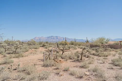 Sweetwater in Tucson, Arizona