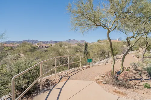 Sweetwater in Tucson, Arizona