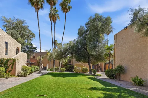 Tamarack Condos in Tucson, Arizona