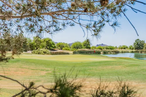 The Pines in Tucson, Arizona