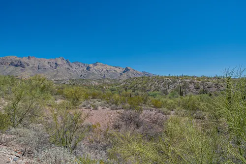 Tierra Catalina in Tucson, Arizona