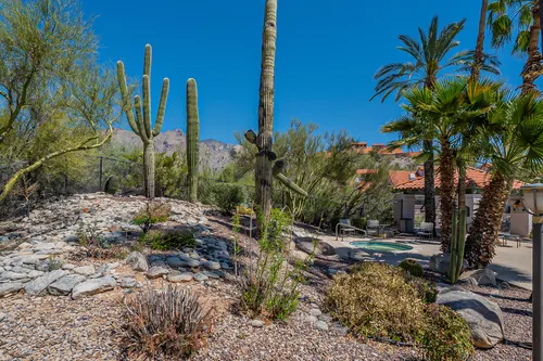 Tierra Catalina in Tucson, Arizona