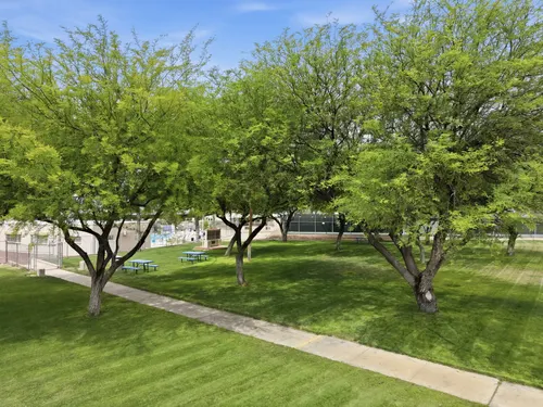 Tucson Estates Community Photos in Tucson, Arizona