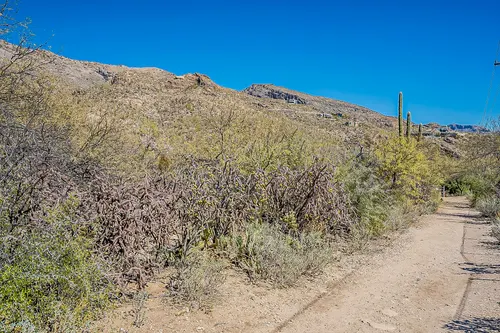 Ventana Canyon View in Tucson, Arizona