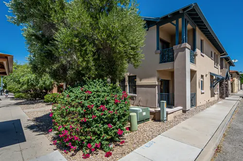 West University Collections in Tucson, Arizona