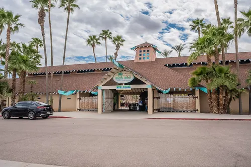 Cortessa in Waddell, Arizona