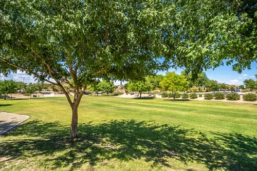 Cortessa in Waddell, Arizona