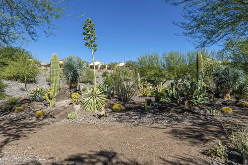 Wickenburg Area in Wickenburg, Arizona