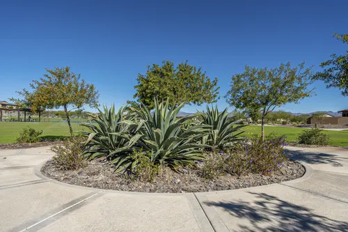 Wickenburg Area in Wickenburg, Arizona